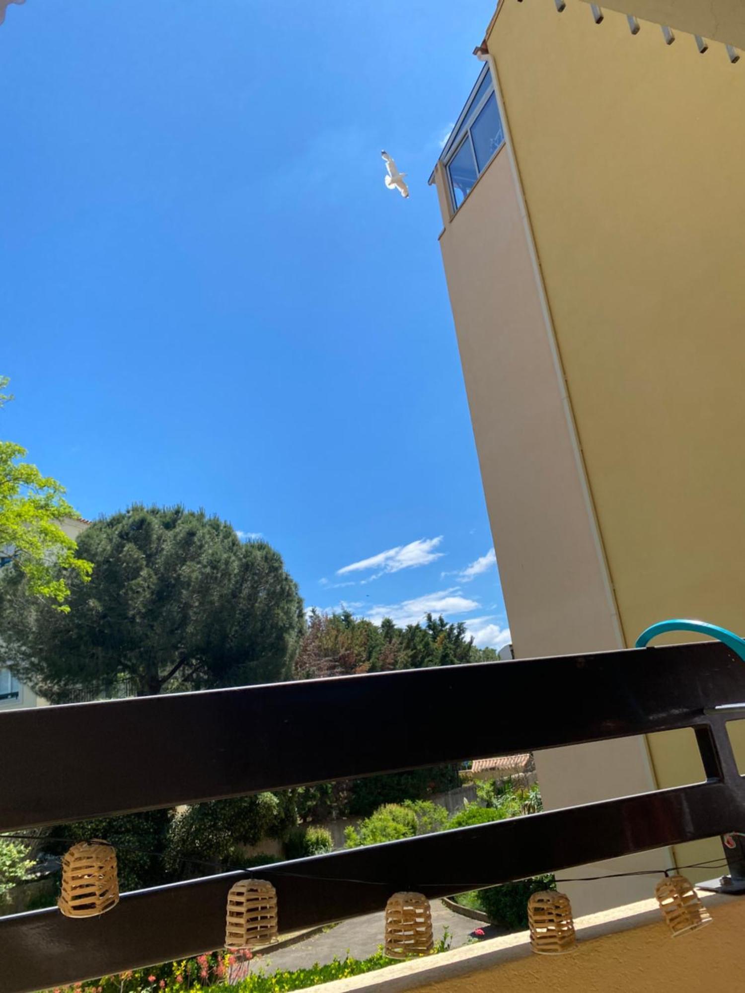 Cabine,4 Personnes ,renove,au Calme,200 M De La Plage,parking Prive *